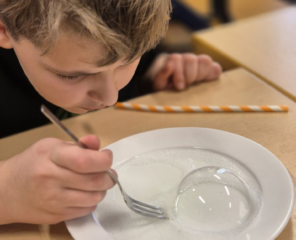 Beloning voor groep 6